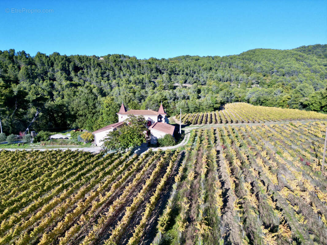 Domaine sur 13 hectares au coeur des dentellles de montmirail - cru gigondas - photo 3