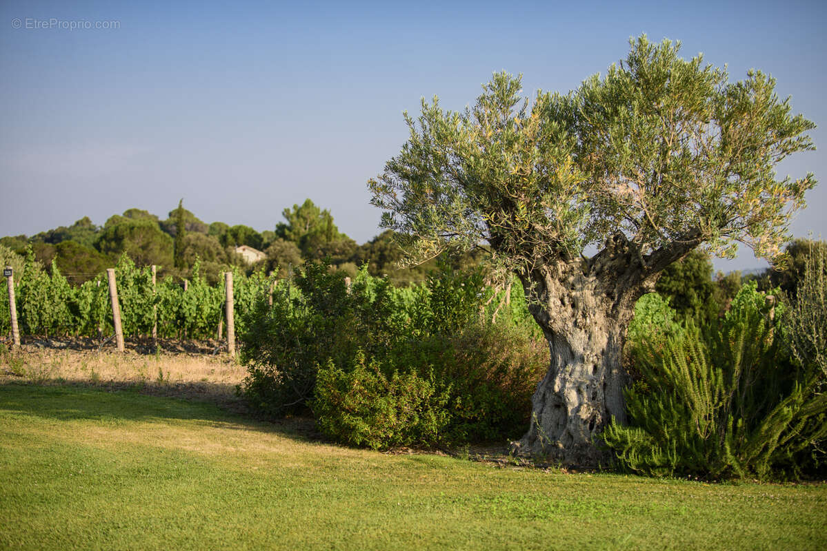 Maison à BEZIERS