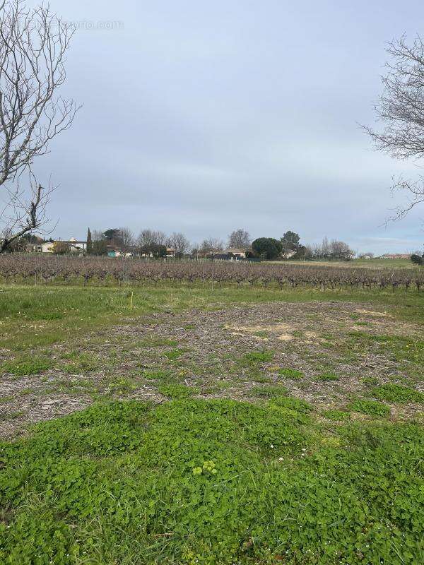 Terrain à SAINT-GERMAIN-DU-PUCH