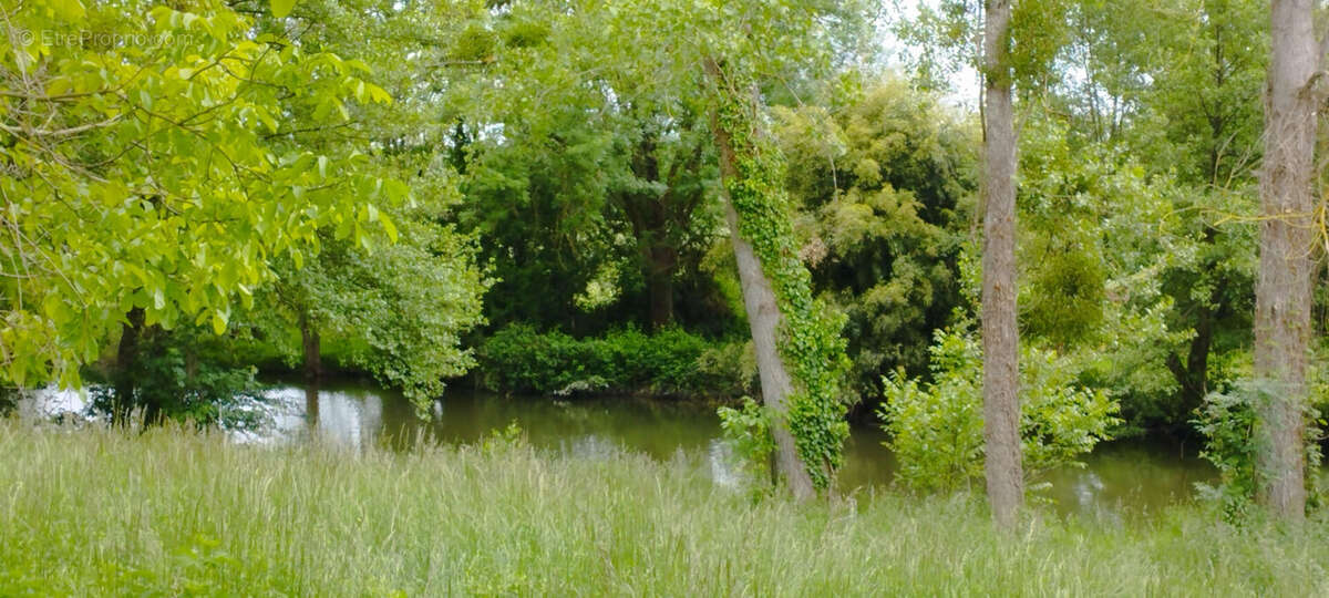 Terrain à MARTIZAY