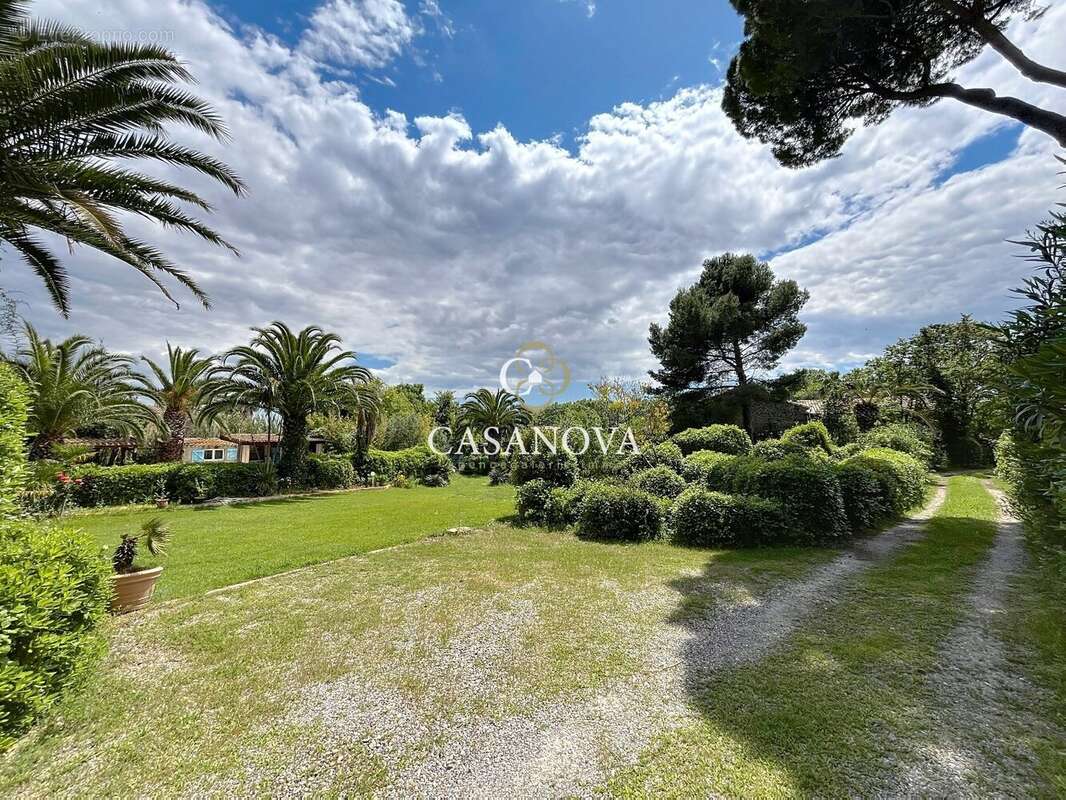 Aux portes de PEZENAS, maison de caractère sur un superbe terrain CONSTRUCTIBLE et DIVISIBLE de 3300 m². A 25 mn du bord de MER, - photo 15