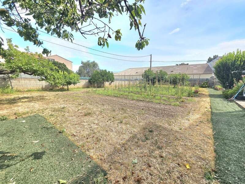 A vendre maison de 300 m2 divisées en 4 habitations, terrain 1395 m2, garage et terrain cOnstructible à MONTE (Haute Corse) - photo 2