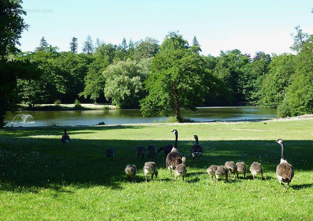 Appartement à MERIGNAC