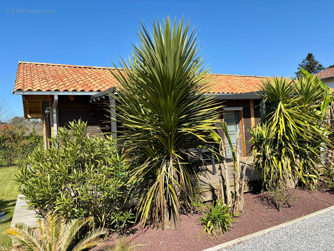 Maison à SEIGNOSSE