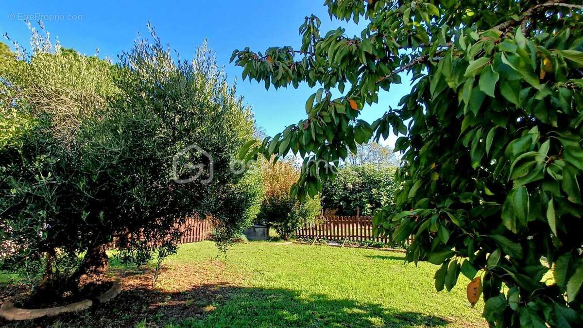 Maison à L'ILE-D'OLONNE