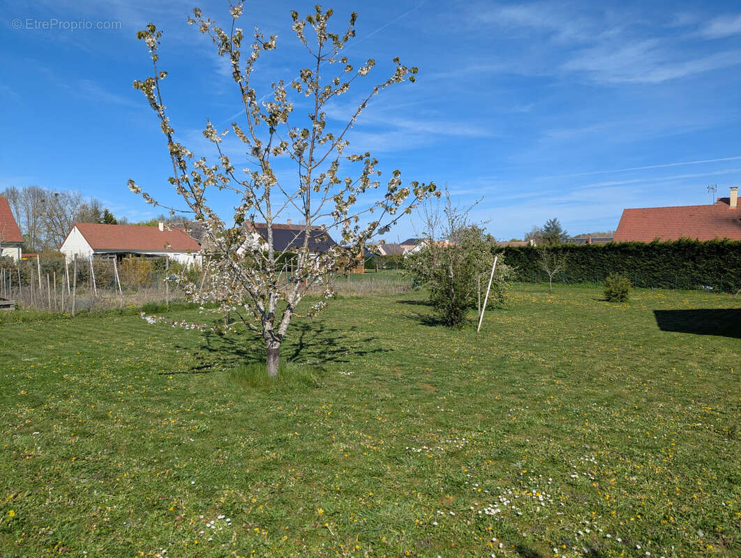Maison de plain-pied au bout d'une impasse ! - photo 2