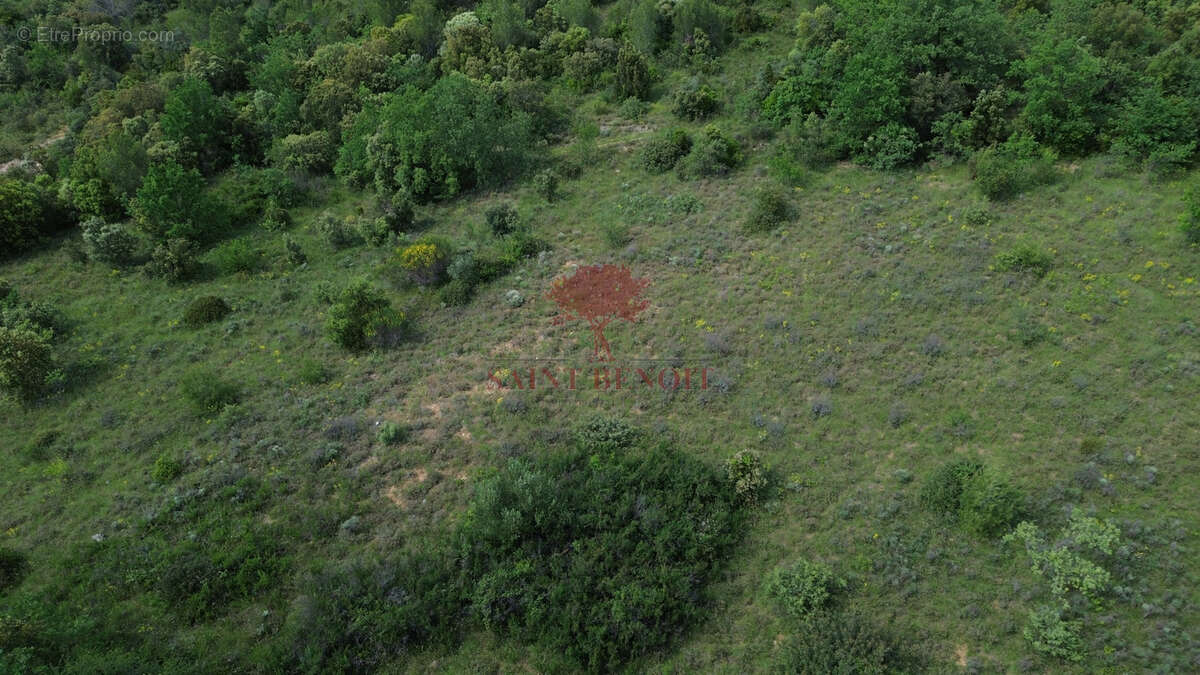 Terrain à PUECHABON