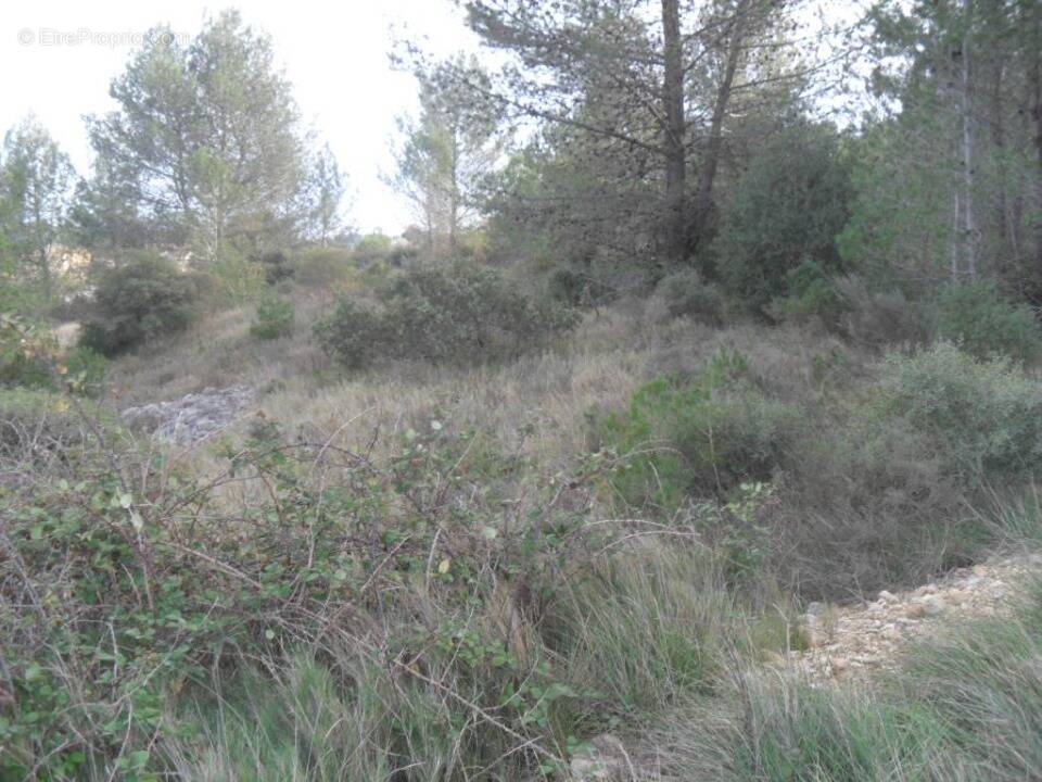Terrain à LEDENON