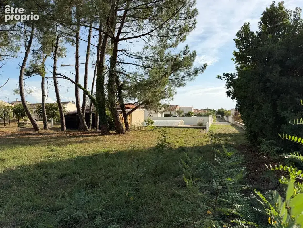 Terrain saint palais sur mer - photo 3