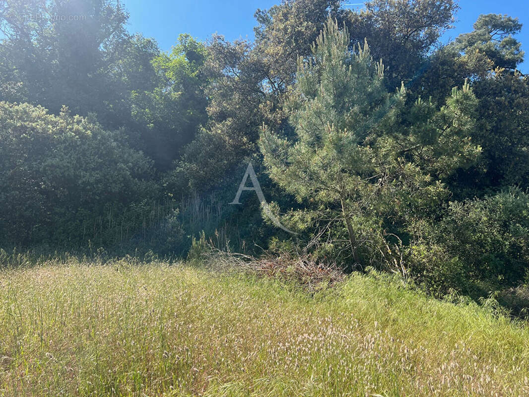 Terrain à LONGEVILLE-SUR-MER