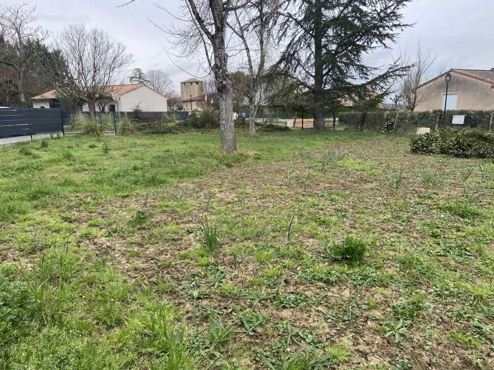 Terrain 400 m² à Denat  - photo 2