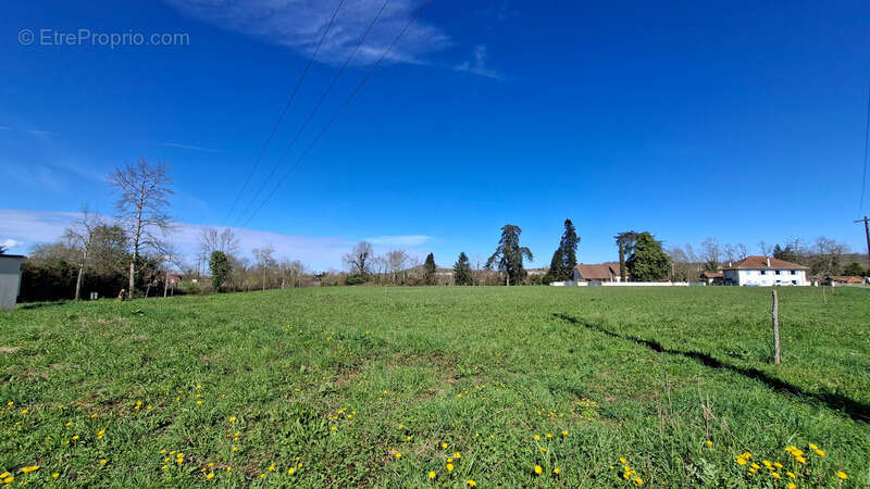 Terrain à SAUVETERRE-DE-BEARN