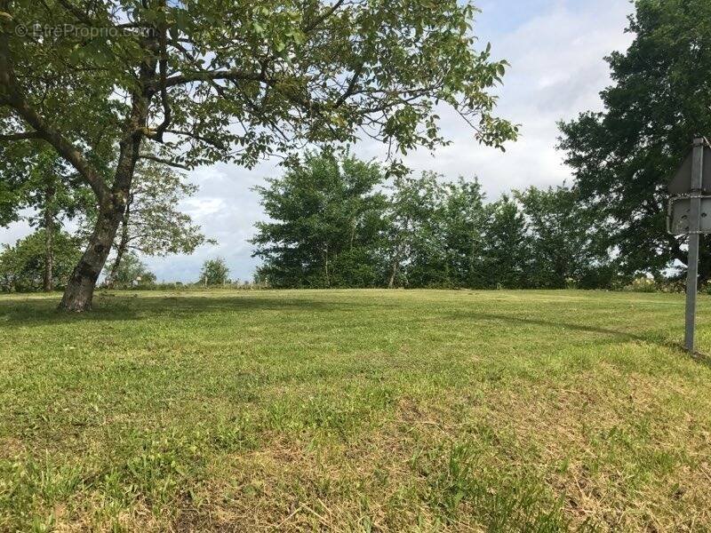 Terrain à CHERVES-RICHEMONT