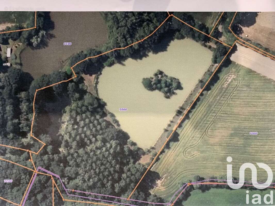 Photo 4 - Terrain à SAINT-SULPICE-DES-LANDES