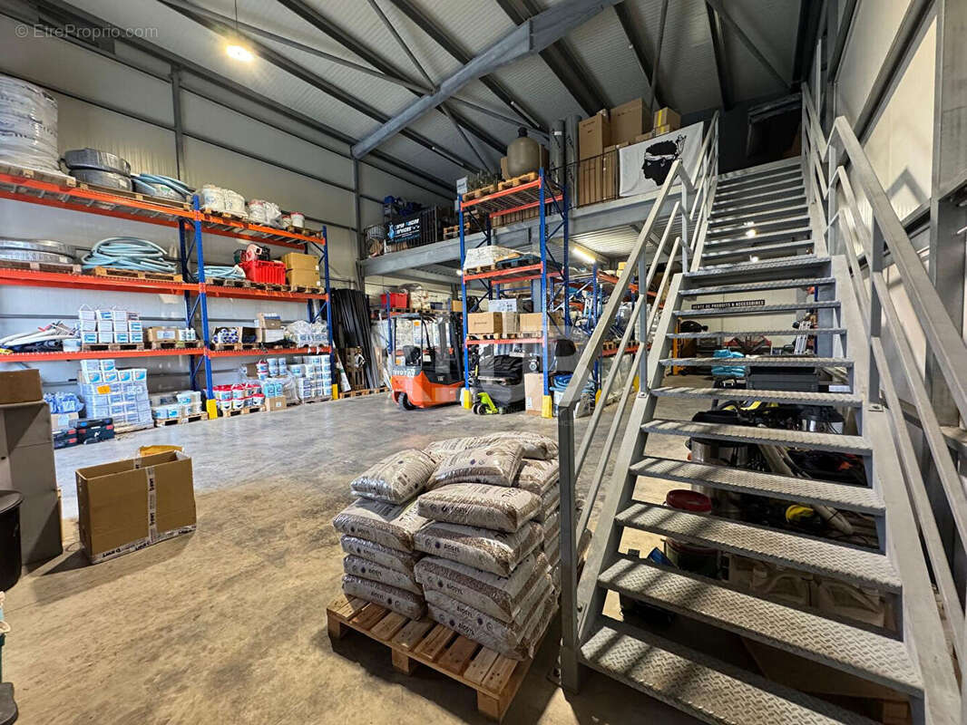 Commerce à LUCCIANA