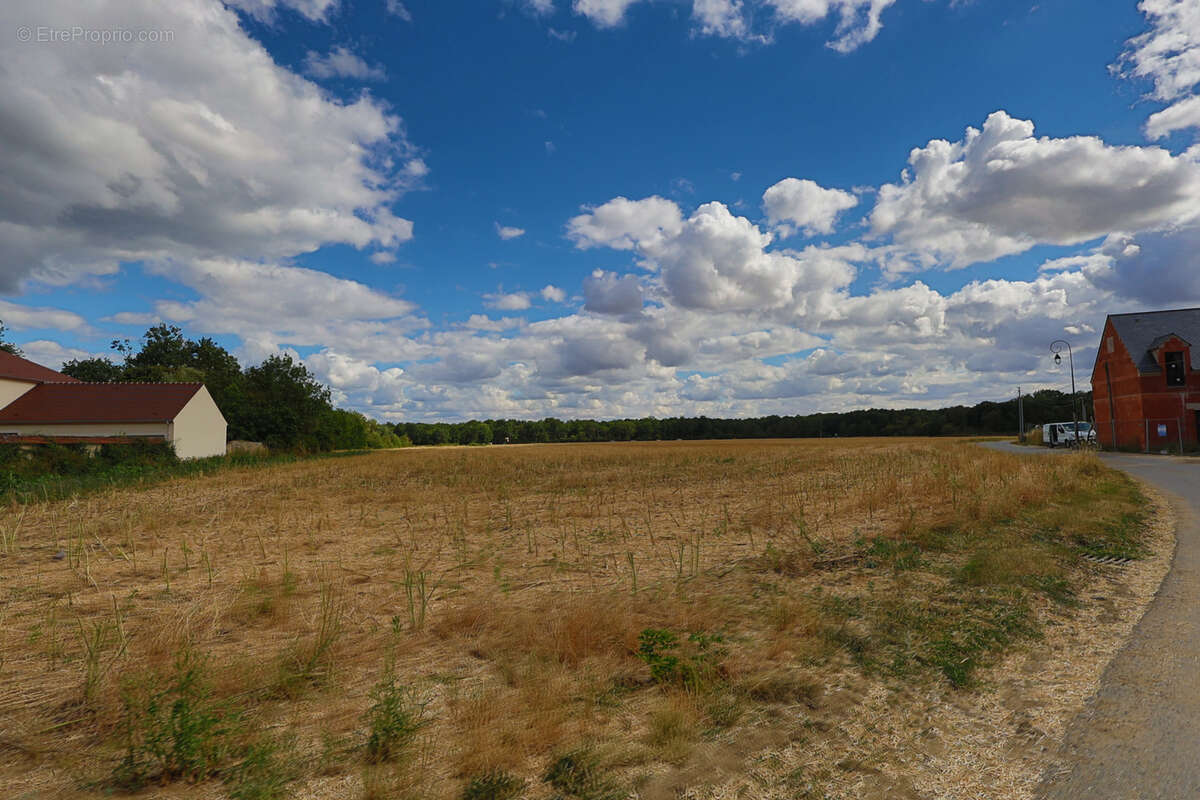Grange sur un terrain de 788m2 - photo 7