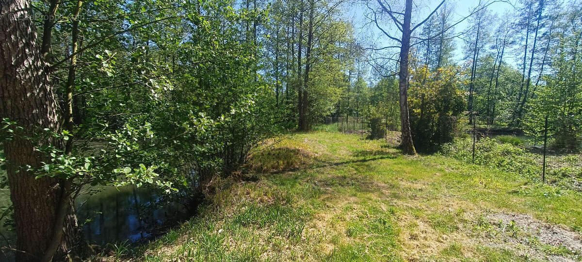Terrain à LA FERTE-CHEVRESIS