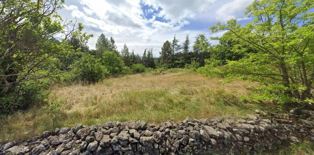 Terrain à SAINT-PIERRE-SAINT-JEAN