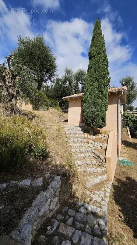 Villa eblouissante quartier madone a menton - photo 13