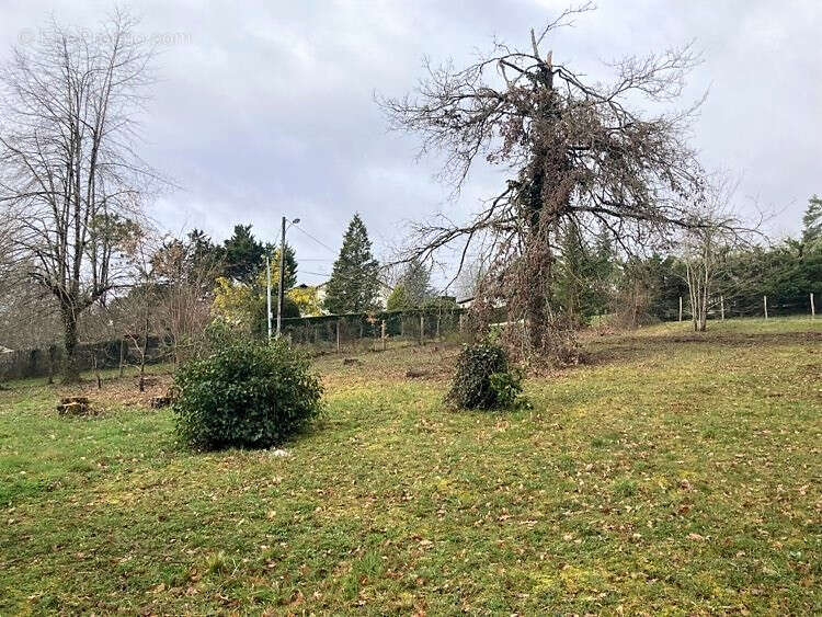 Terrain à CHATEAU-L&#039;EVEQUE