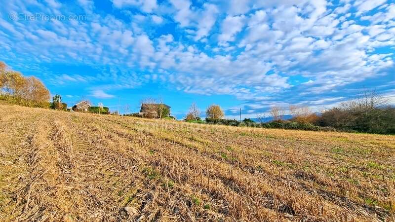 Terrain à SAUVETERRE-DE-BEARN