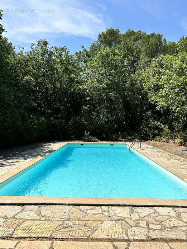 Le Val - A 7 Minutes de l'A8 - Bastide provençale de caractère sur plus de 3 hectares   Piscine   Calme absolu - photo 14