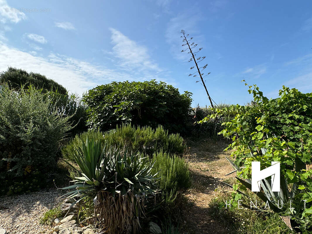 Maison à SAINTE-MARIE-DE-RE