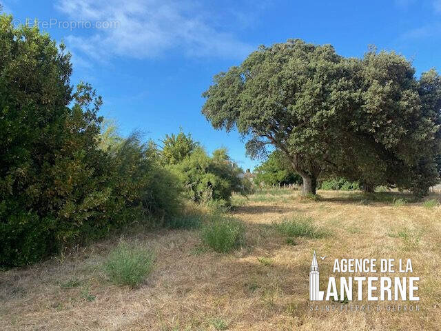 Terrain à SAINT-PIERRE-D'OLERON