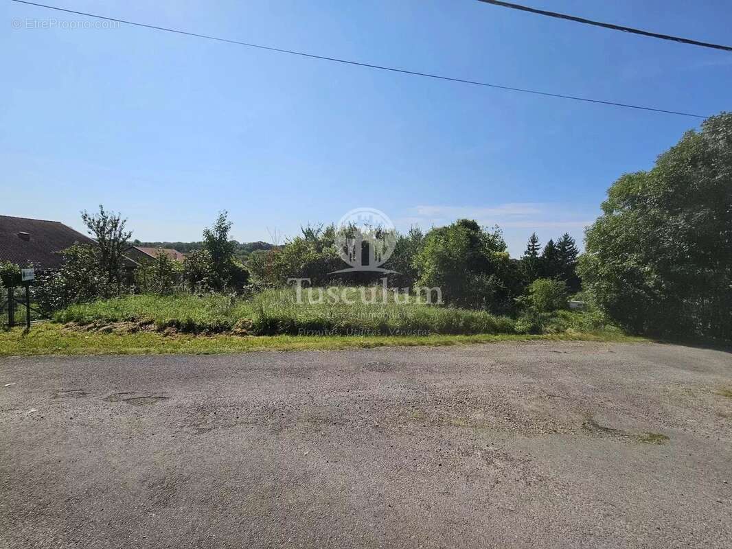 Terrain à REMOIVILLE