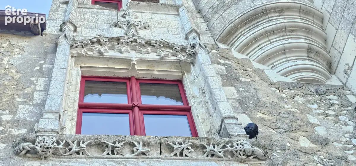 Château du XIIè siècle inscrit aux monuments historiques, dépendances et parc de 2 ha   Sud Touraine - photo 19
