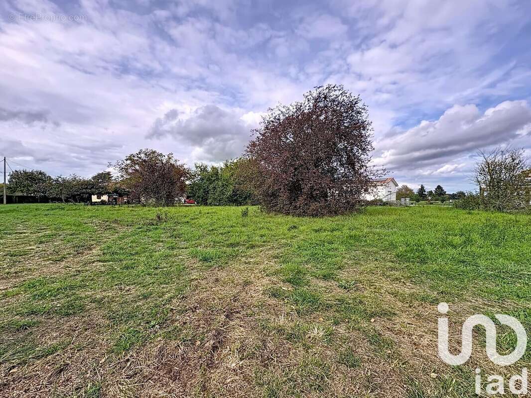 Photo 2 - Terrain à PEYSSIES