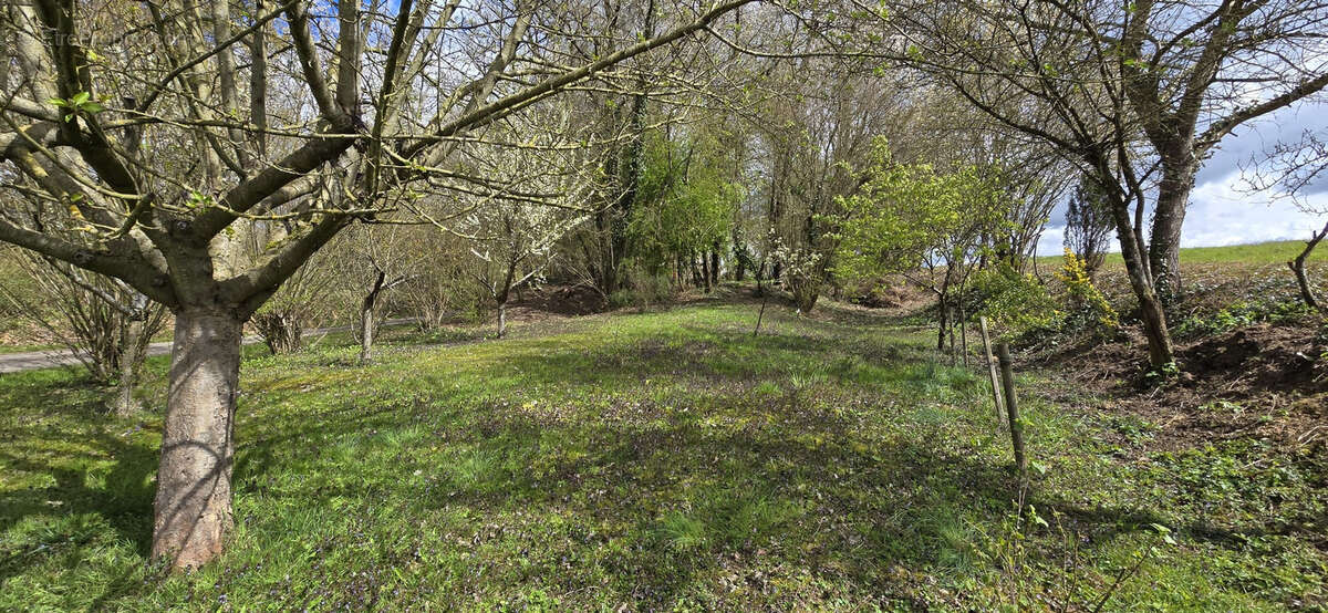 Maison à L'ABERGEMENT-SAINTE-COLOMBE
