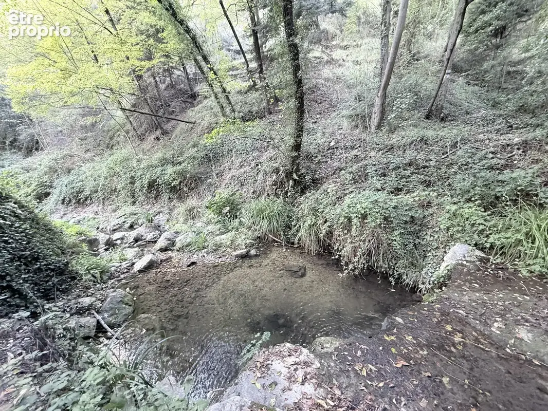 Vaste propriété de plus d’un hectare, entre oliviers centenaires et arbres fruitiers - photo 7