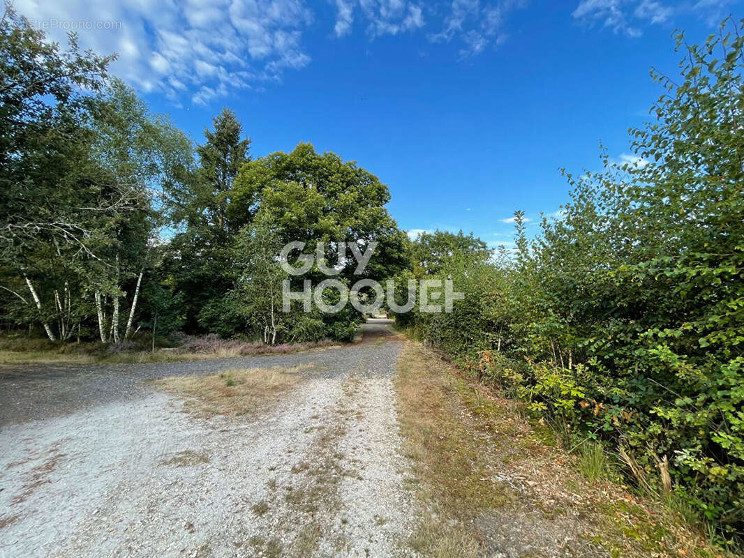 Terrain à LAMOTTE-BEUVRON