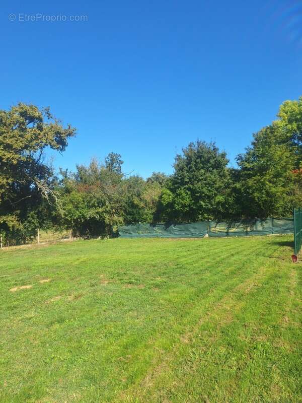 Terrain à SEGOUFIELLE