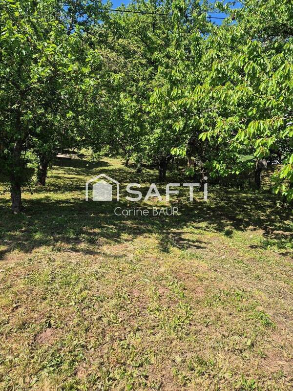 Photo 1 - Terrain à STEINBACH