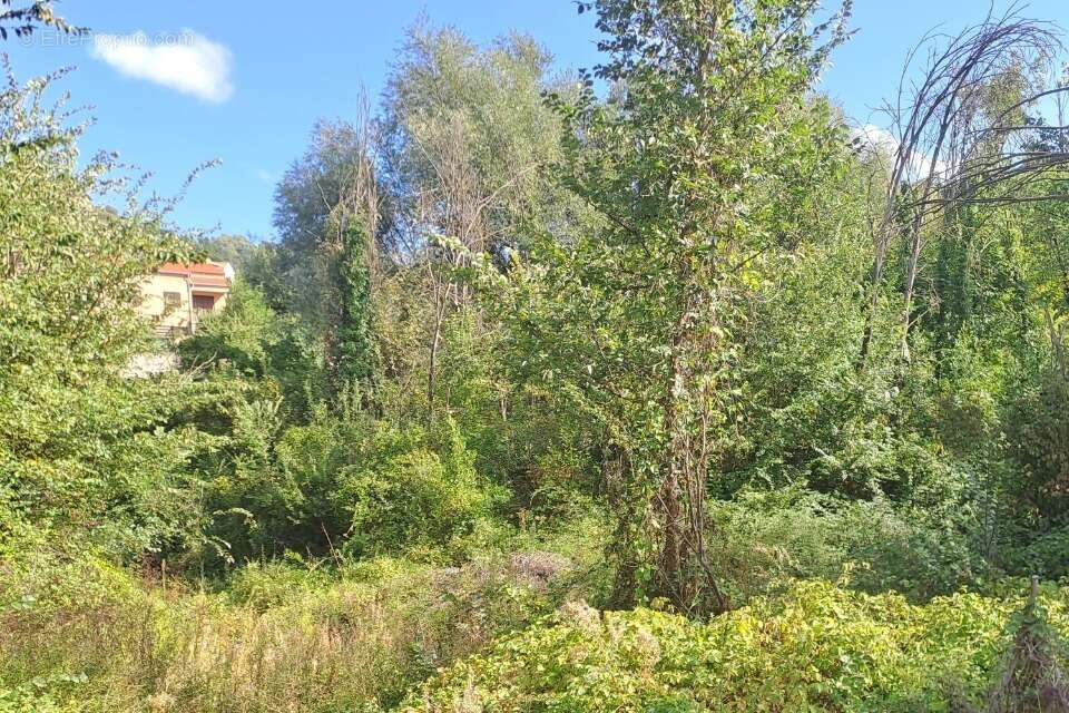 Terrain à TOURRETTE-LEVENS