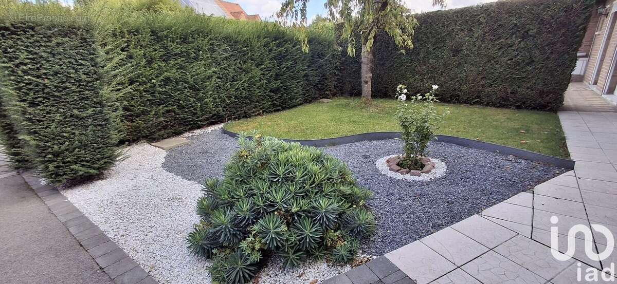 Photo 4 - Maison à BEUVRY