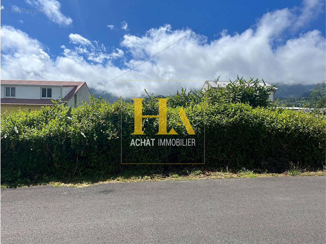 Terrain à LA PLAINE-DES-PALMISTES