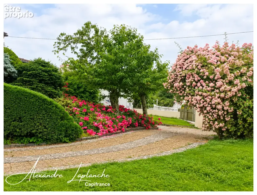 Dpt Tarn et Garonne (82), MONTAUBAN (82) – Quartier St Michel – Maison lumineuse de 175 m² avec jardin, véranda et garage - photo 3