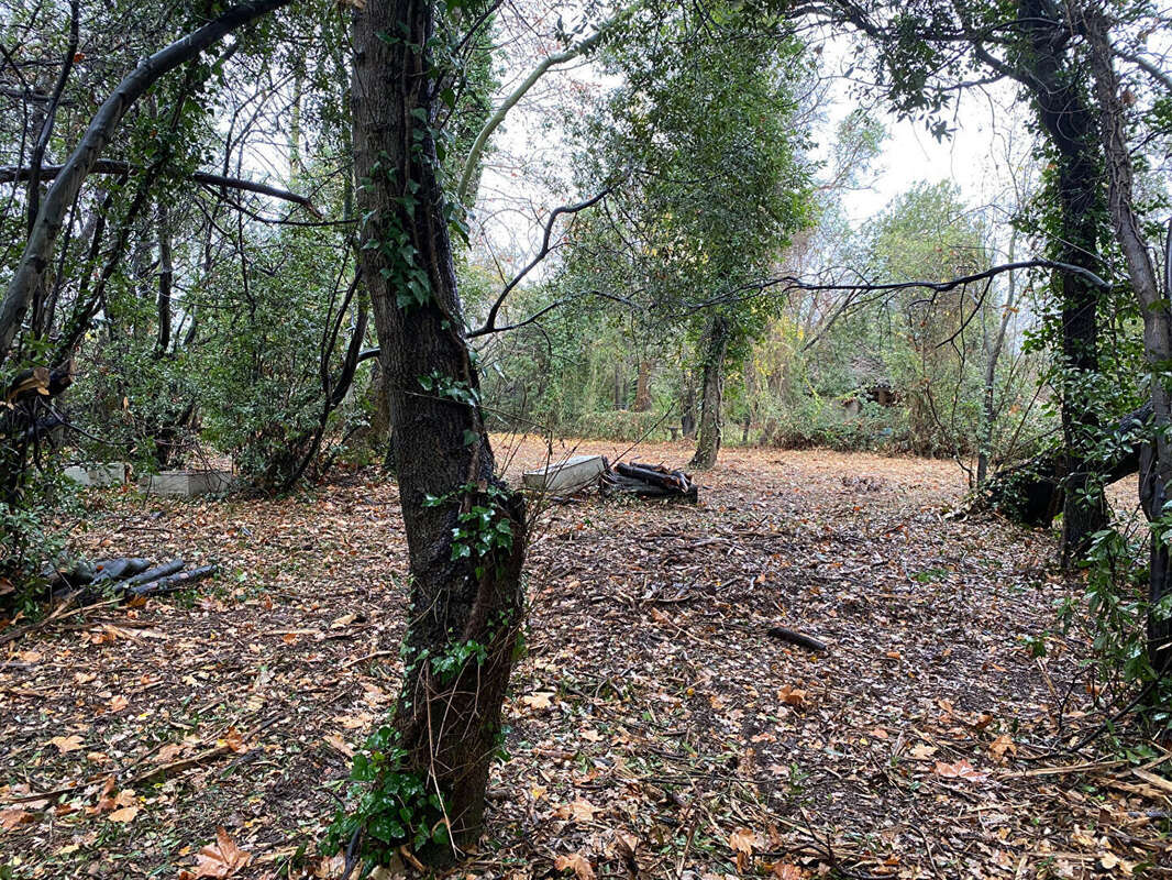 Terrain à LE SOLER