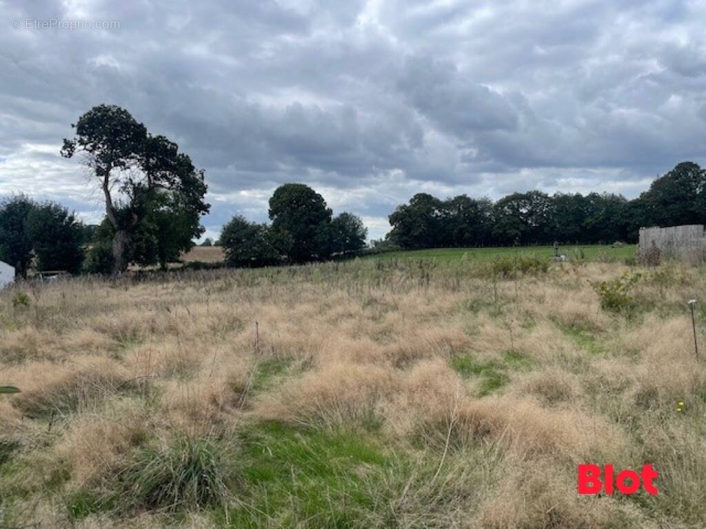 Terrain à LAIGNELET