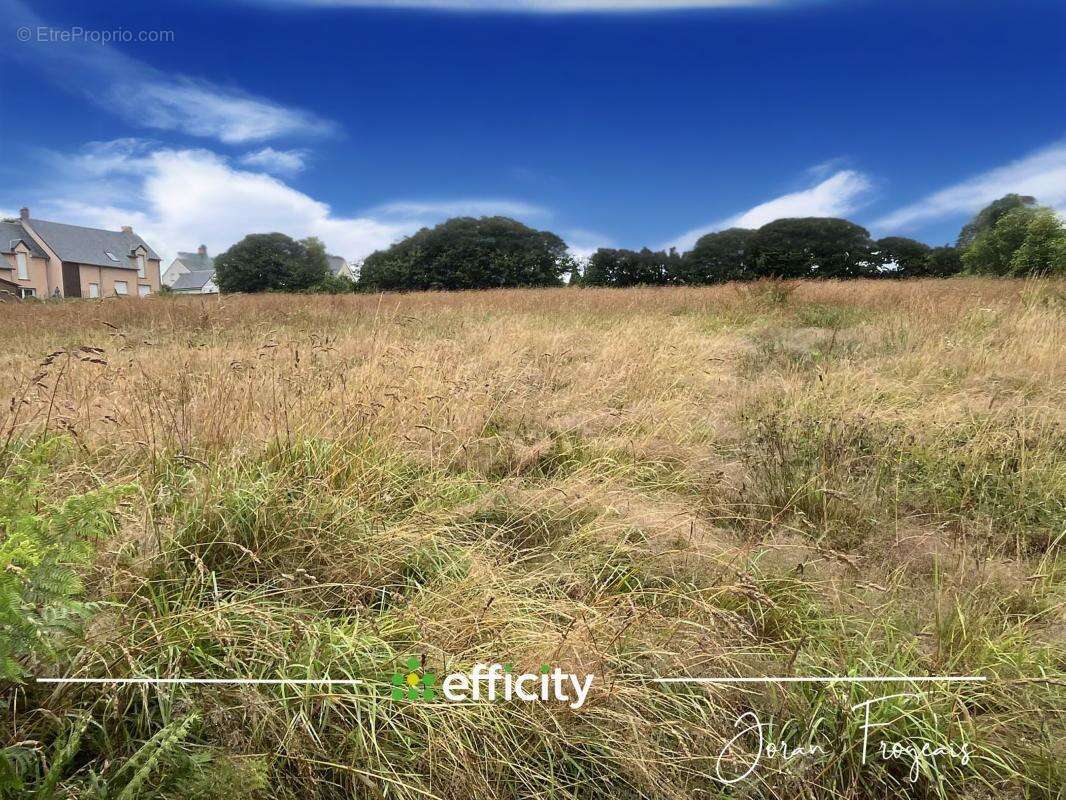 Terrain à LES LOGES-MARCHIS