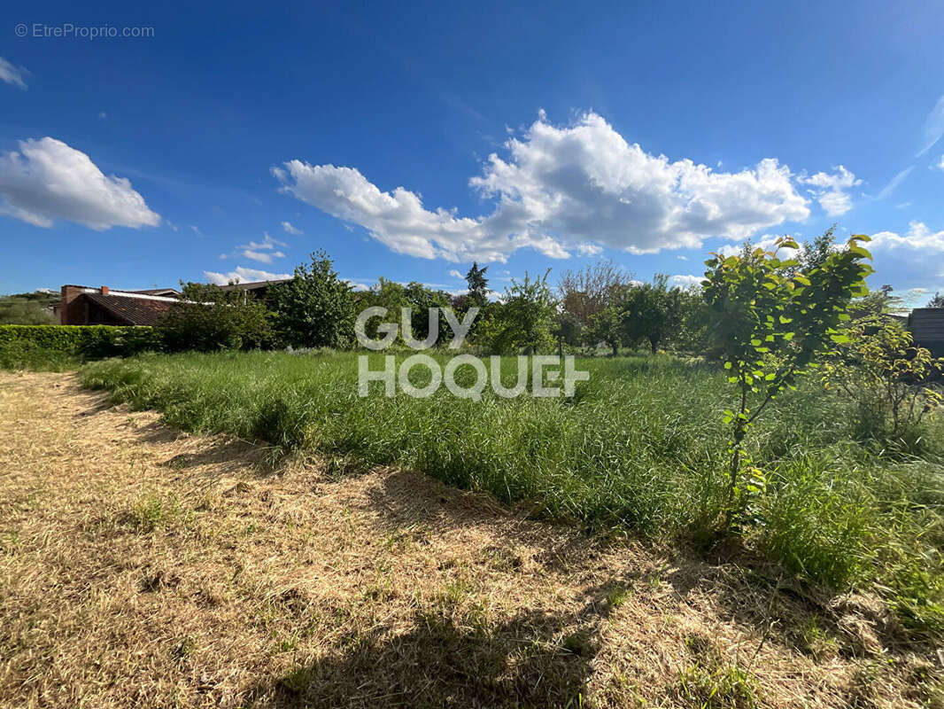 Terrain à CUGNAUX