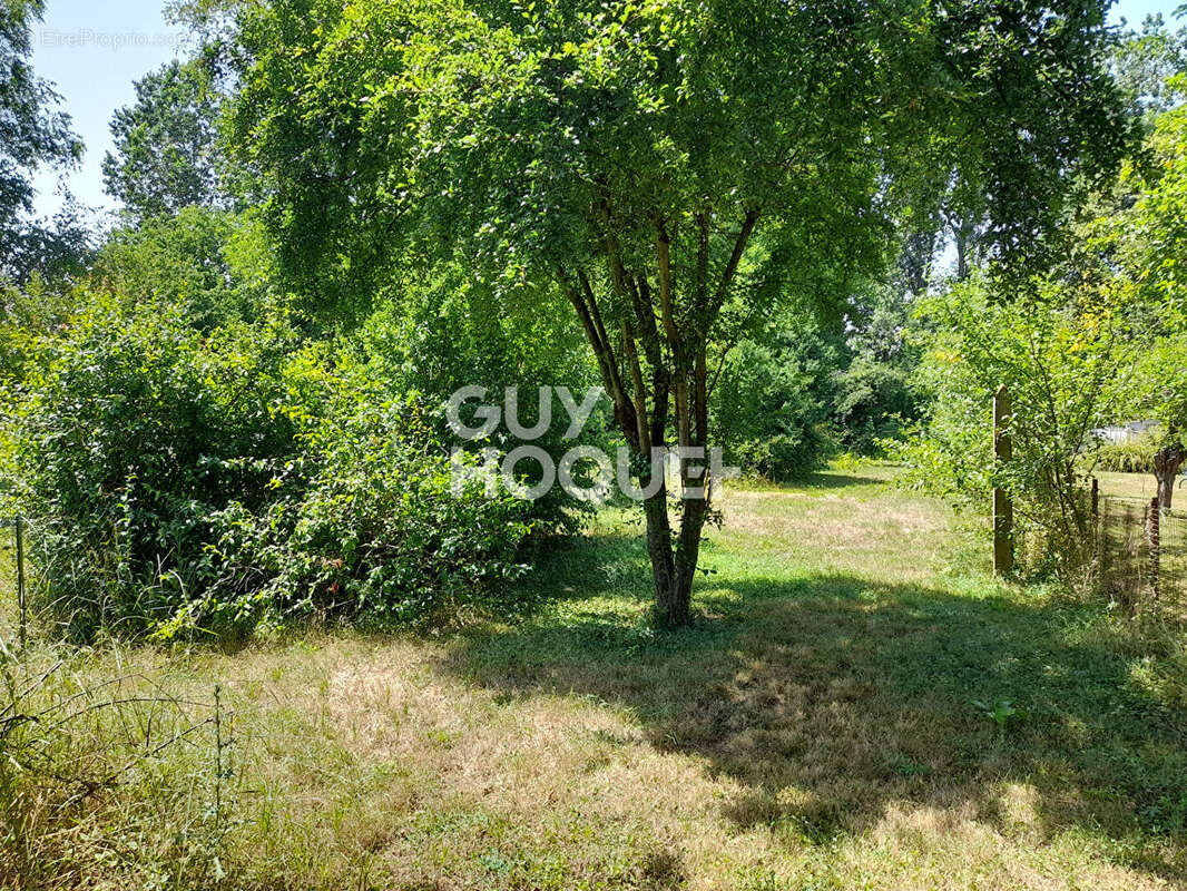 Fleury la vallee - photo 8