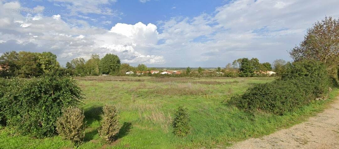 Terrain à CHOUPPES