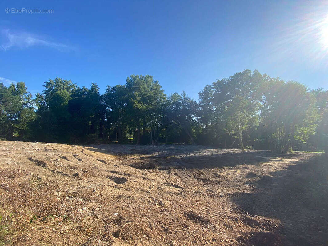 Terrain à SAUGNAC-ET-CAMBRAN