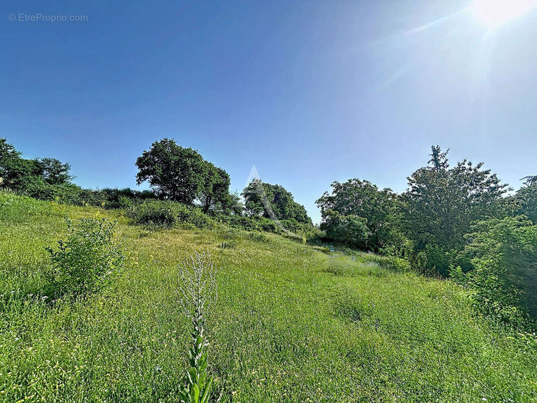 Terrain Loigne Sur Mayenne 23946 m2 - photo 5