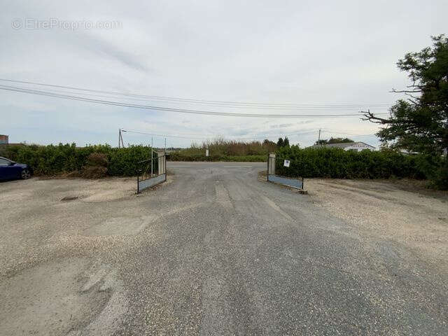 Commerce à SAINTE-BAZEILLE