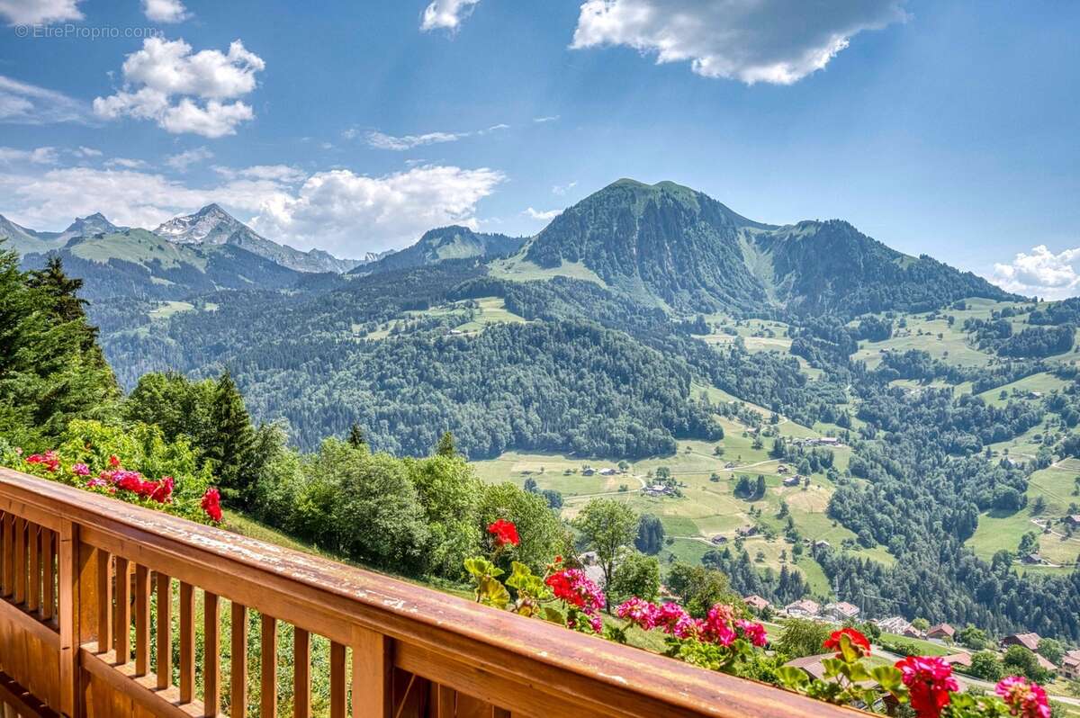 Chalet à vendre en viager occupé - Vue panoramique - MANIGOD (74) - photo 2